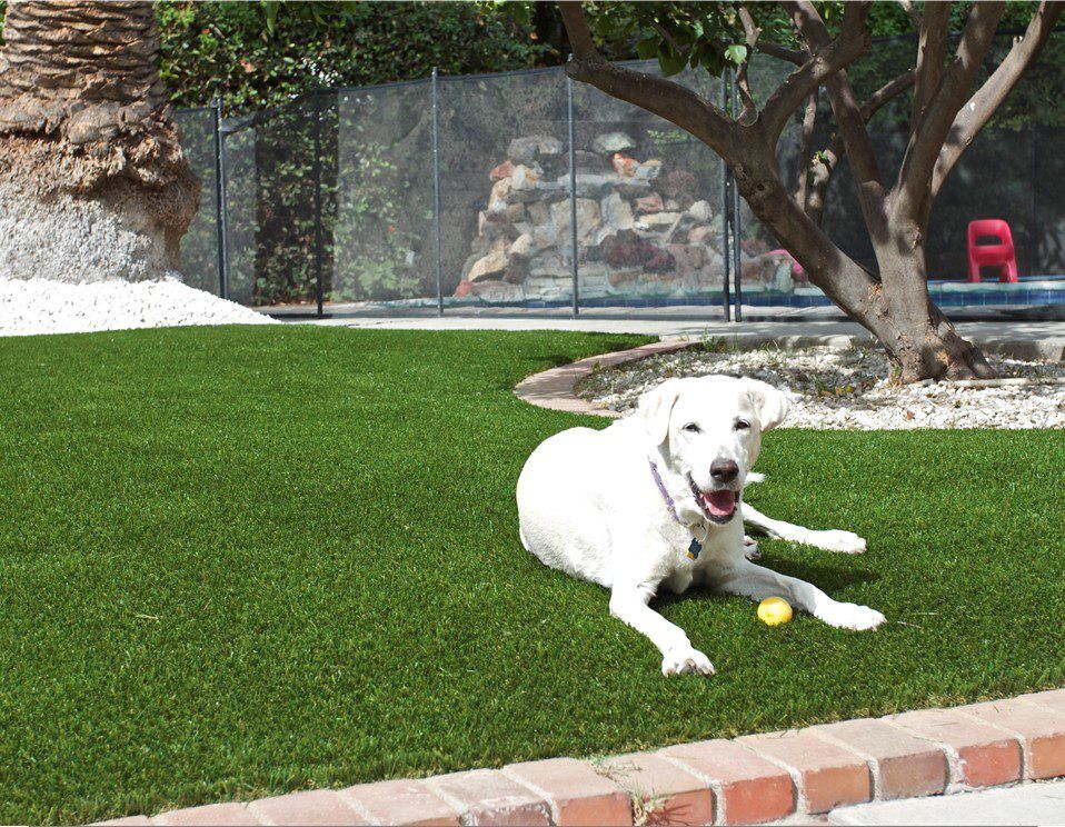 Artificial Grass Outlet - Turf Distributor & Wholessale, Riverside, CA