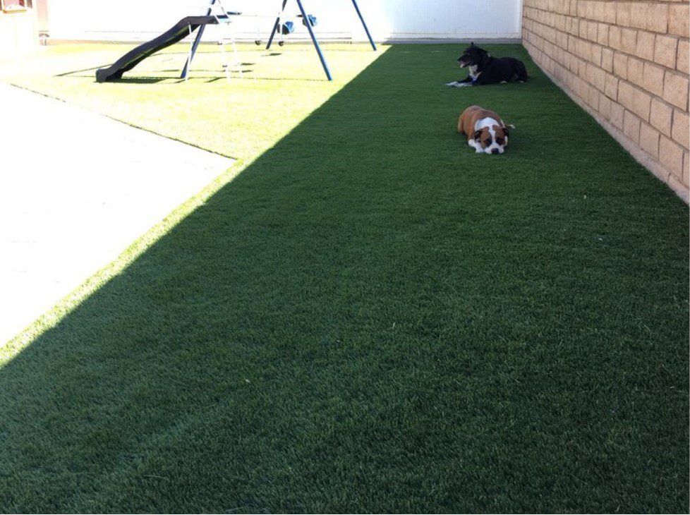 Pet Turf System, AGO Artificial Grass Outlet, Distributor, Corona CA