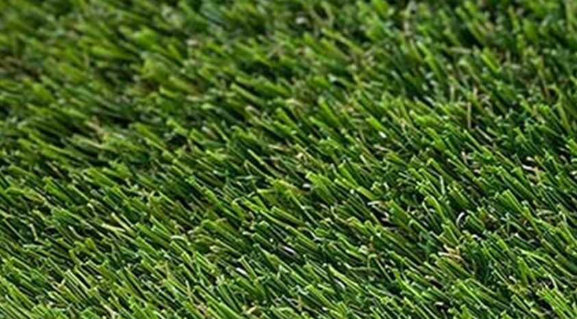 Ruff Zone Artificial Grass, AGO Artificial Grass Outlet, Distributor, Corona