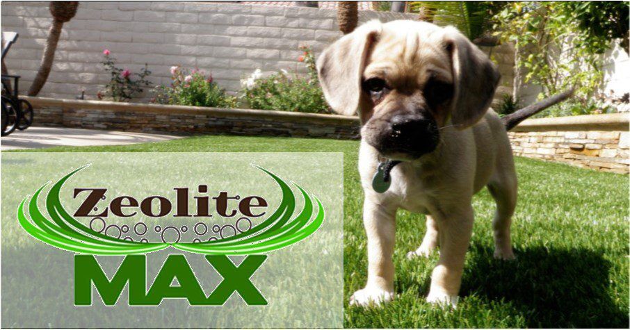 Pet Turf System, AGO Artificial Grass Outlet, Distributor, Corona CA