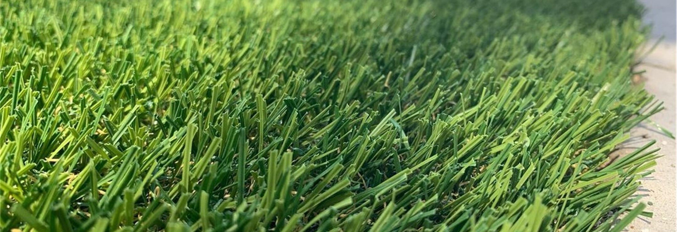 Evergreen Artificial Grass, AGO Artificial Grass Outlet, Corona, CA