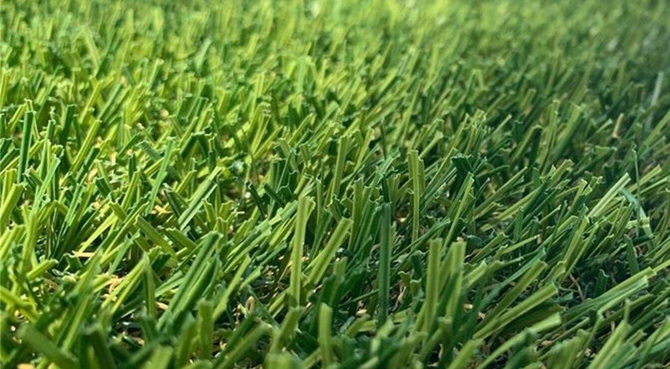 Evergreen Artificial Grass, AGO Artificial Grass Outlet, Corona, CA