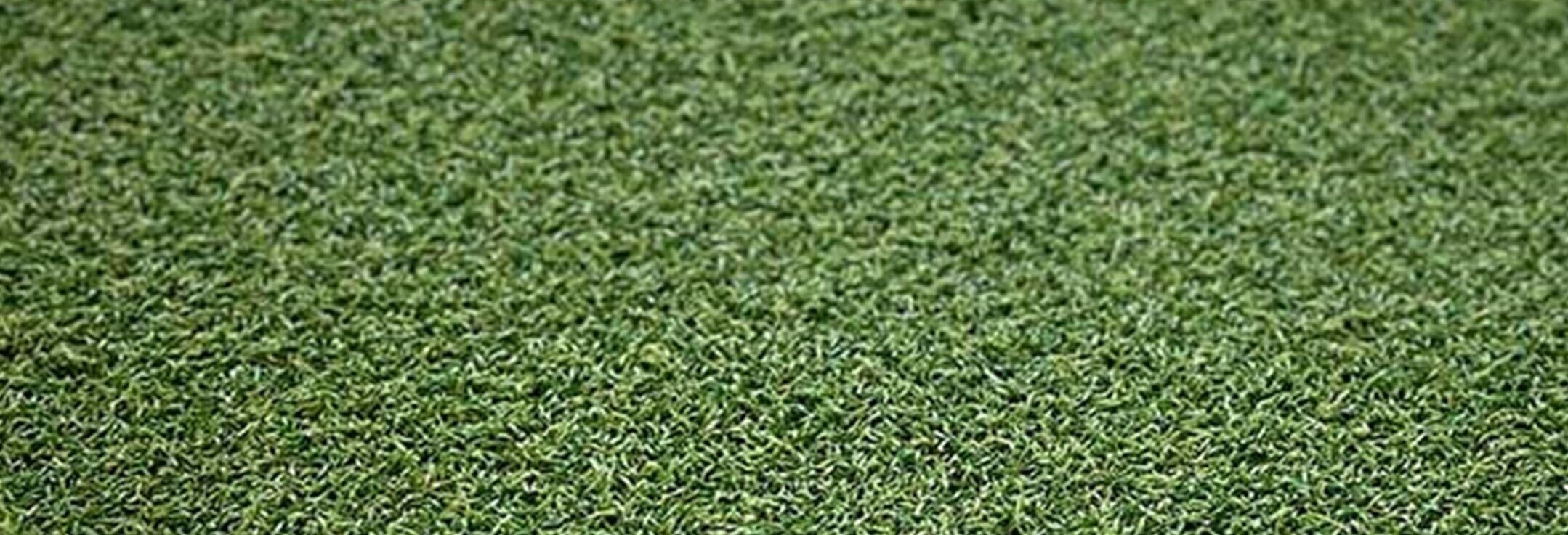 Xtreme Sports/Play Turf, AGO Artificial Grass Outlet, Corona CA