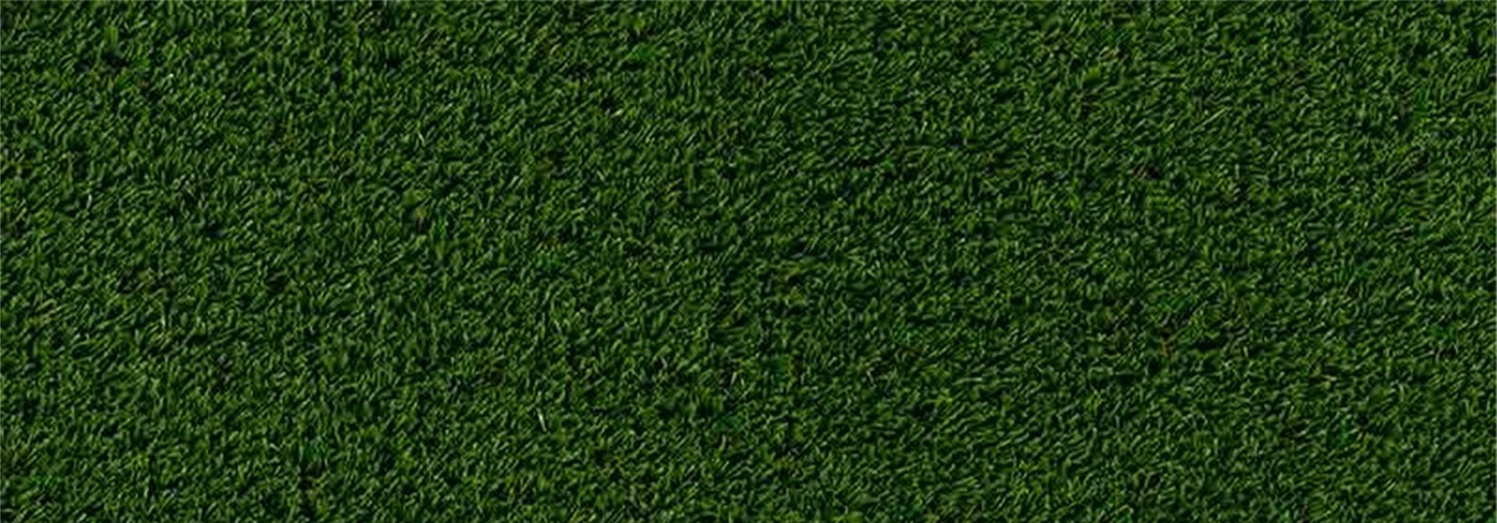 Oakmont Artificial Grass, AGO Artificial Grass Outlet, Corona