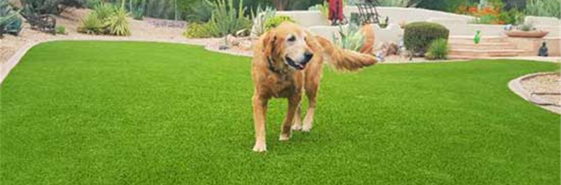 Pet Turf